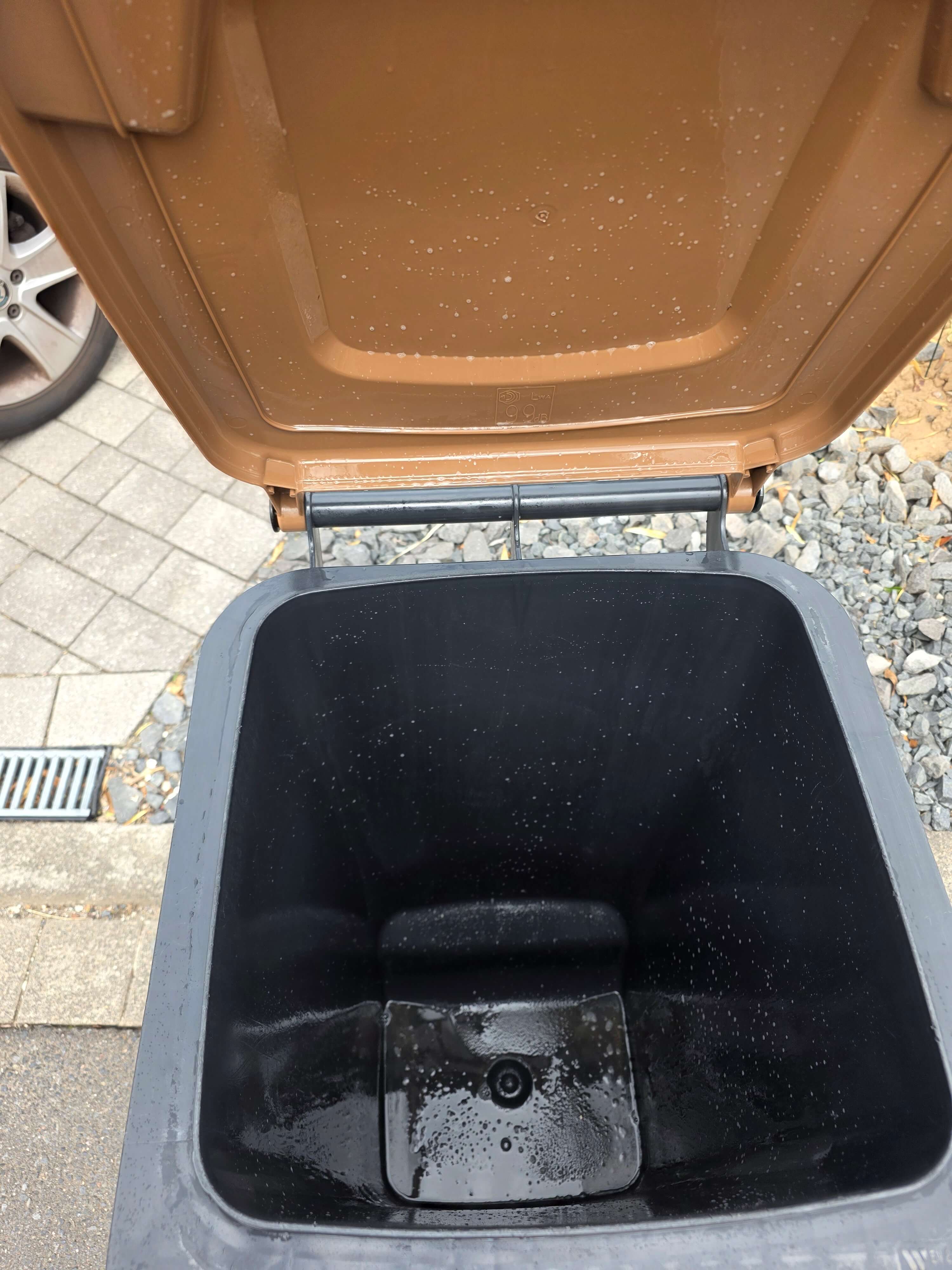 Biotonne nach der Spezialreinigung
